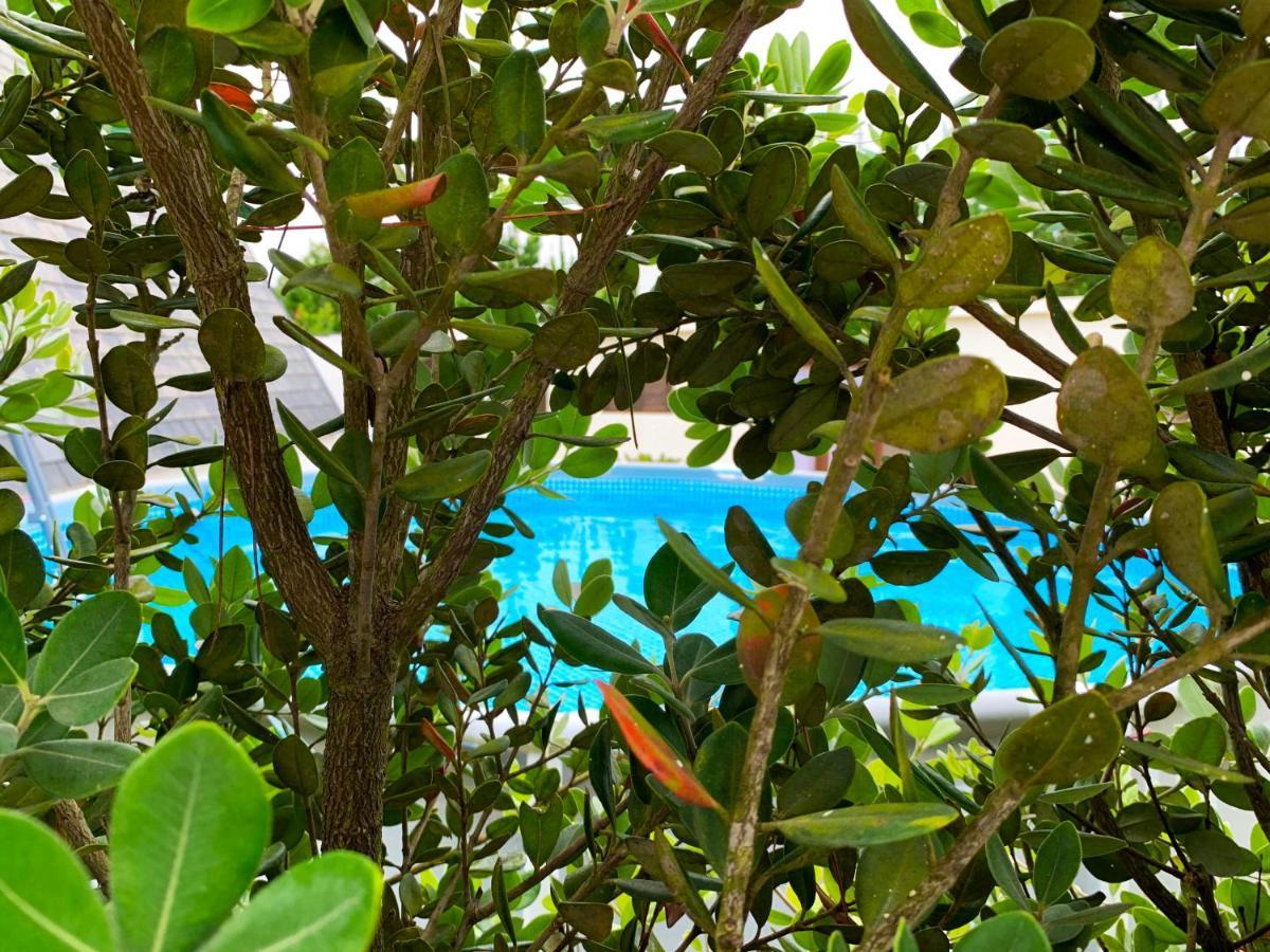 Beachliving Cabana Villa Esmoriz Exterior photo